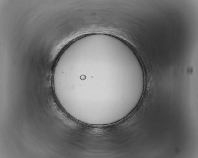X0000108481507200904241247