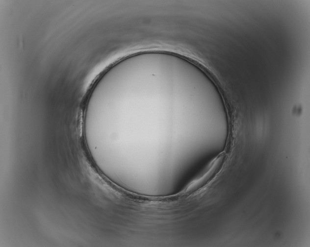 X0000108481510200904241247