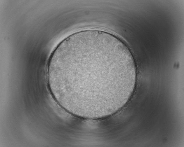 X0000108481514200904241247
