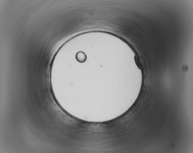 X0000108481516200904241247