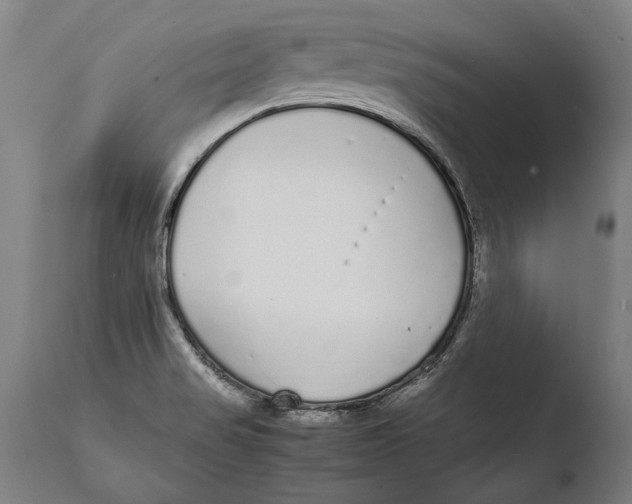 X0000108481517200904241247