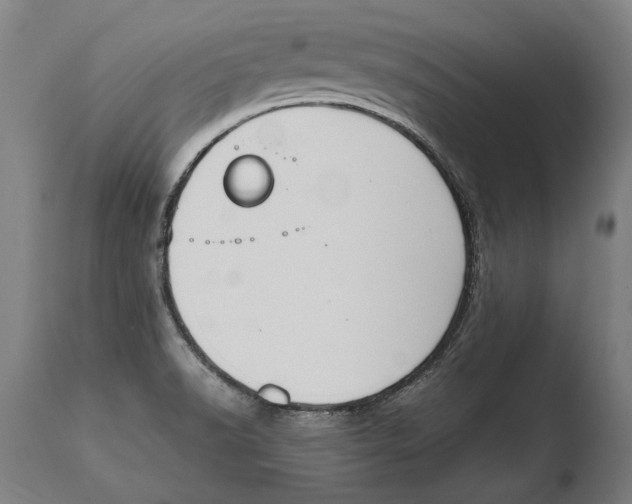 X0000108481518200904241247