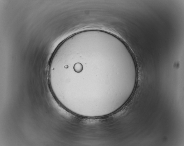 X0000108481519200904241247