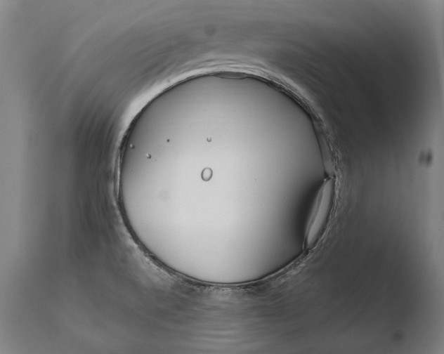 X0000108481520200904241247