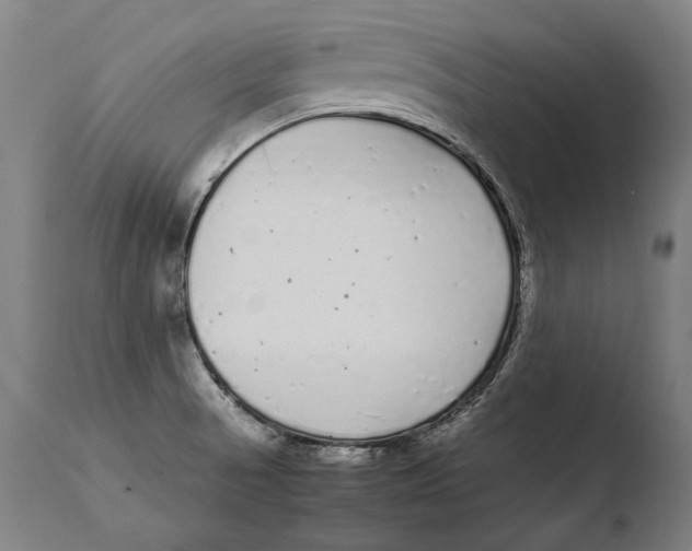X0000108481521200904241247