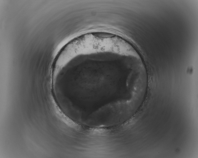 X0000108481522200904241247