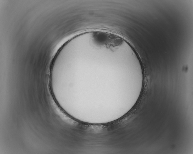 X0000108481523200904241247