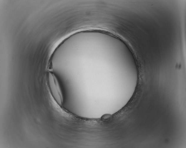X0000108481524200904241247