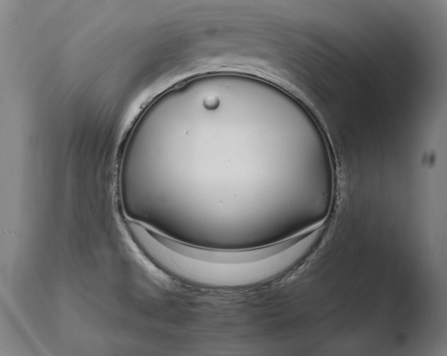 X0000108481525200904241247