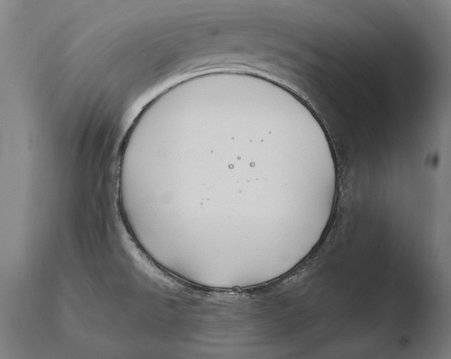X0000108481526200904241247