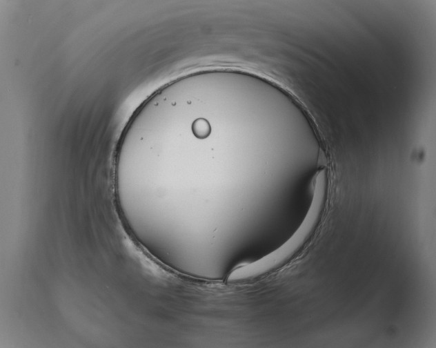 X0000108481527200904241247