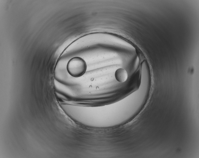 X0000108481529200904241247