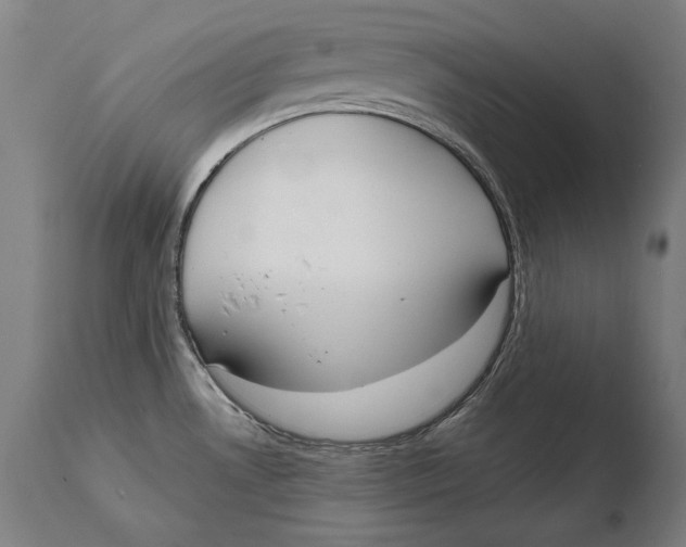 X0000108481530200904241247