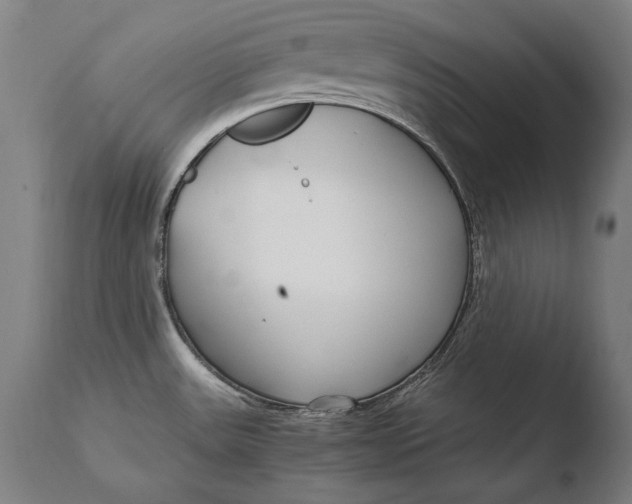 X0000108481531200904241247