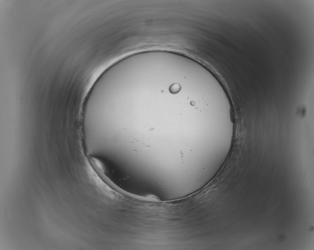 X0000108481532200904241247