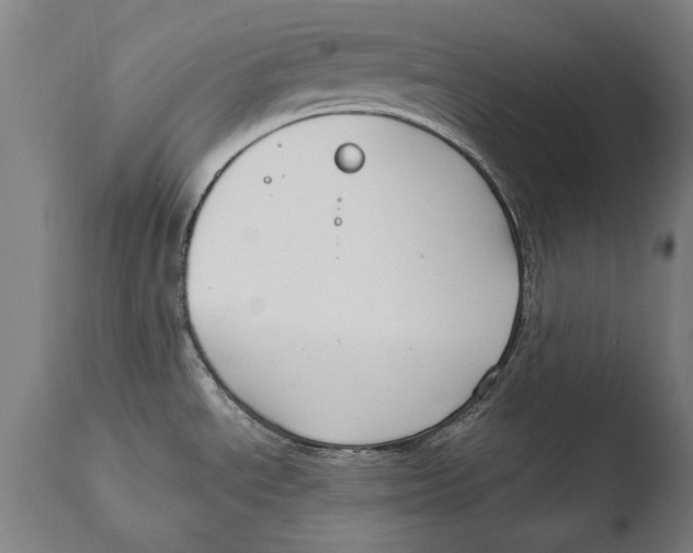 X0000108481534200904241248