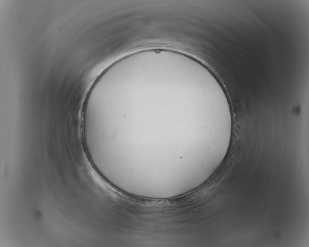 X0000108481535200904241248