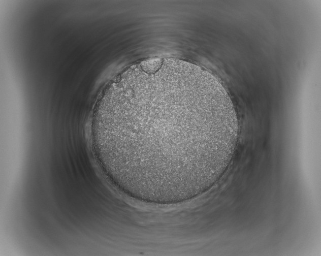 X0000108480002200905011211