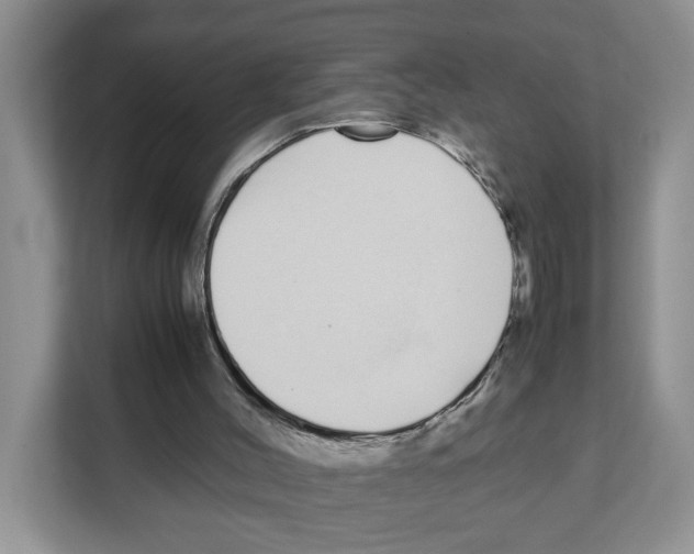 X0000108480004200905011211