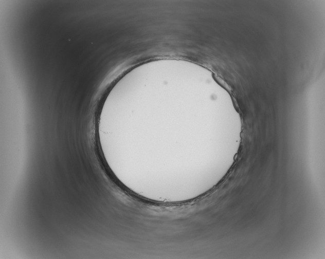X0000108480005200905011211