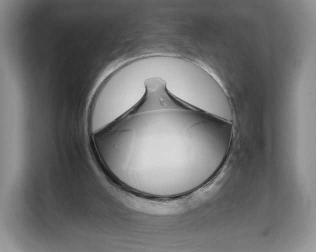 X0000108480008200905011211