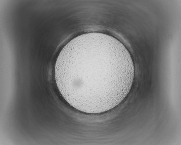 X0000108480010200905011211