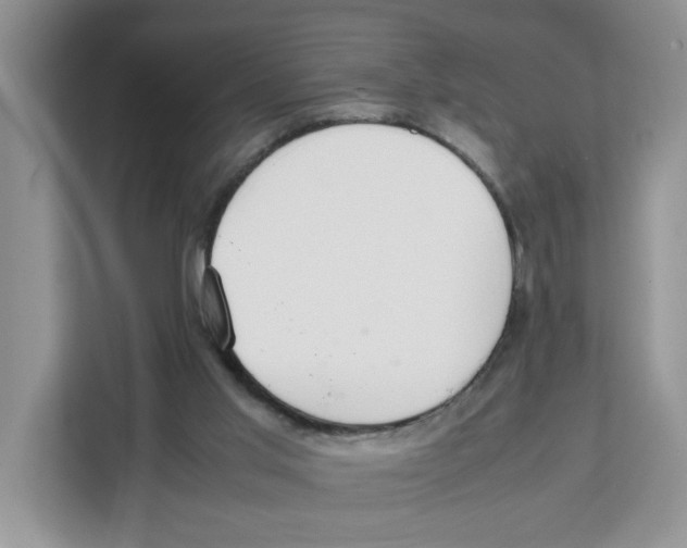 X0000108480013200905011211