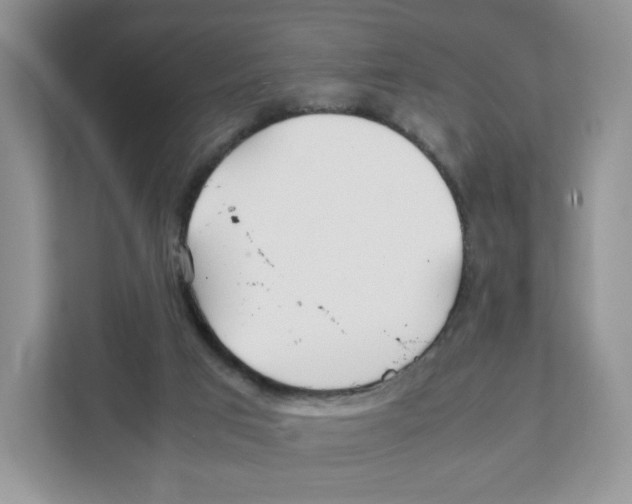 X0000108480017200905011211