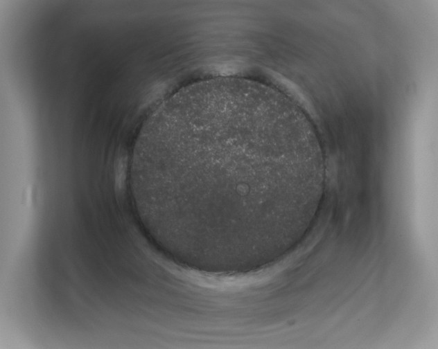 X0000108480018200905011211