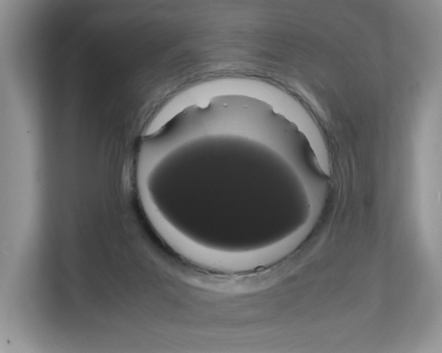 X0000108480023200905011211