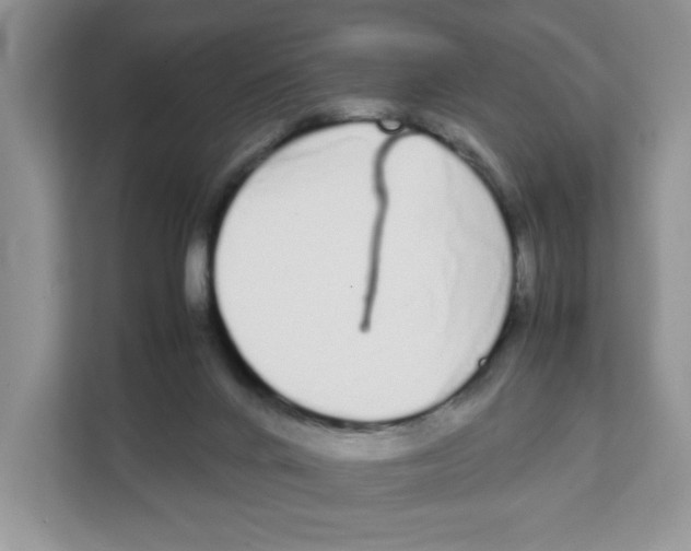 X0000108480024200905011211