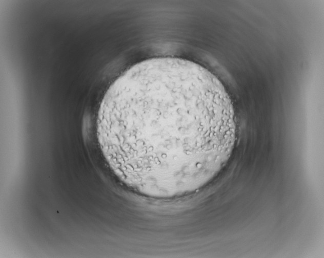 X0000108480026200905011211