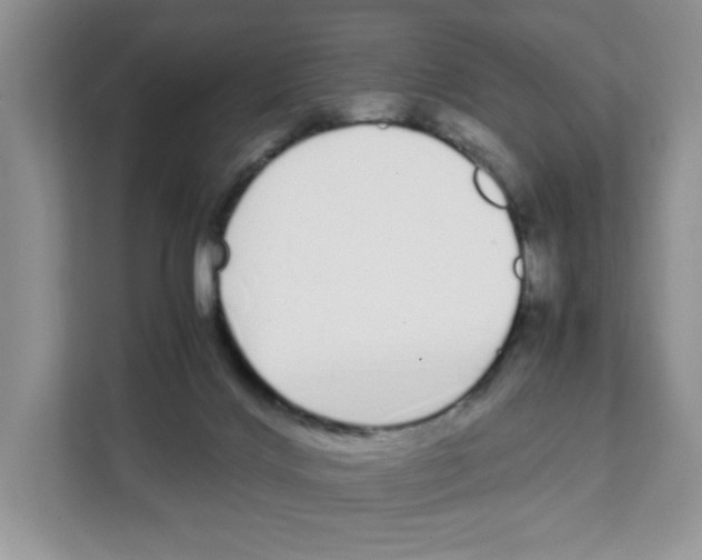 X0000108480028200905011211
