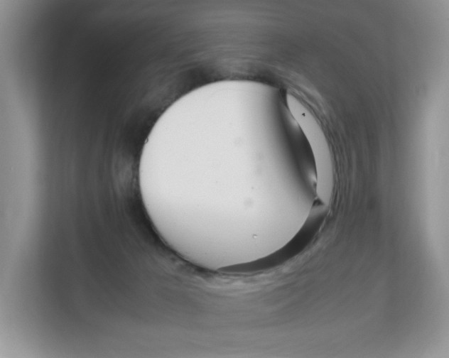 X0000108480029200905011211