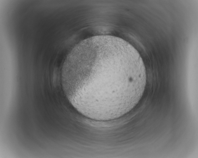 X0000108480030200905011211
