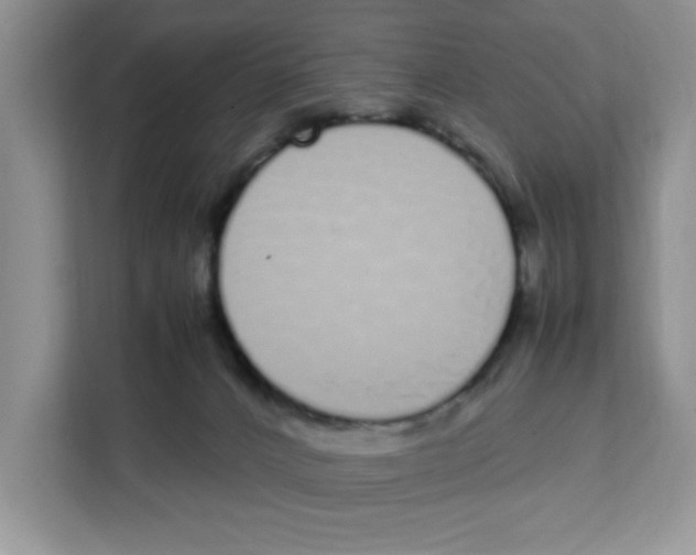 X0000108480032200905011211
