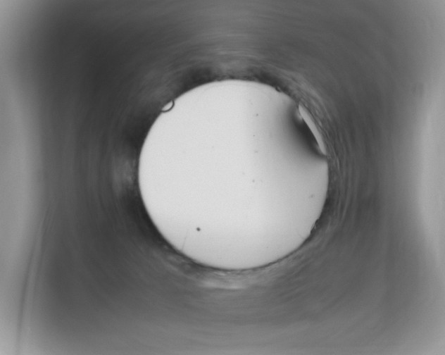 X0000108480033200905011211