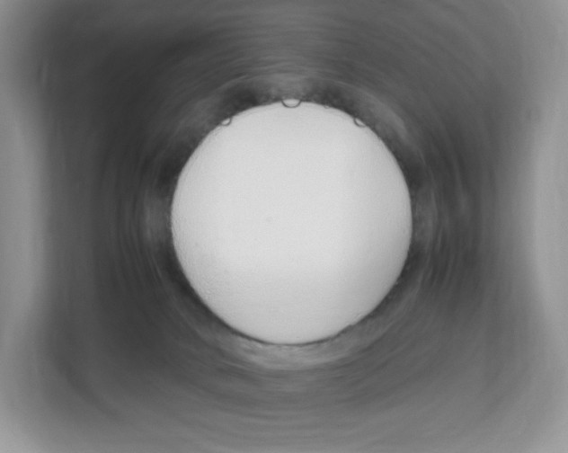X0000108480034200905011211