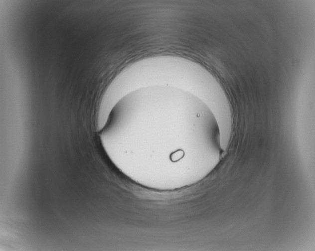 X0000108480039200905011211
