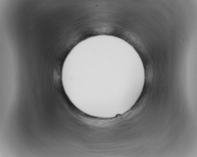 X0000108480040200905011211
