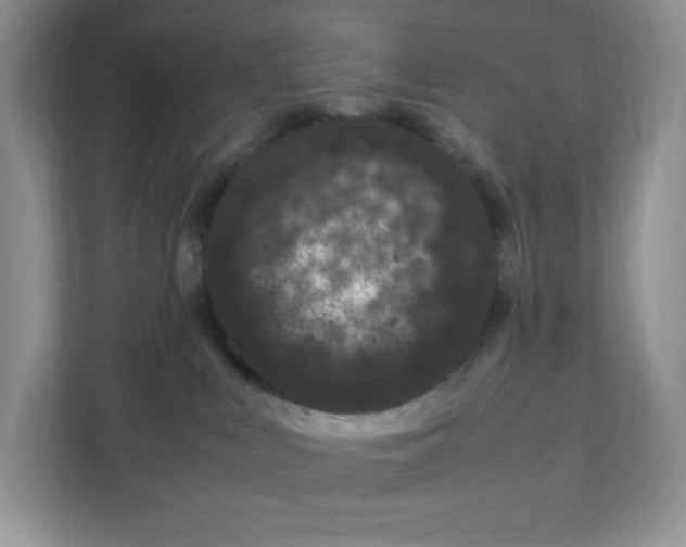 X0000108480043200905011211