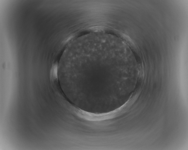 X0000108480047200905011210