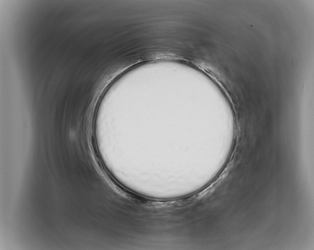 X0000108480049200905011210