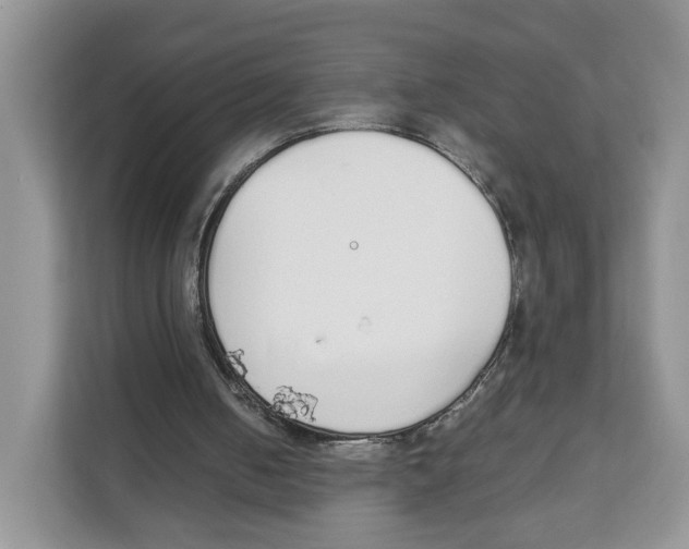 X0000108480050200905011210