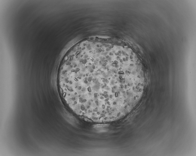 X0000108480051200905011210