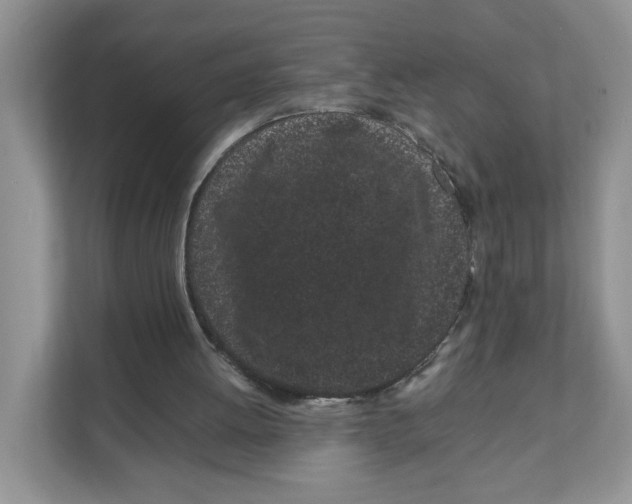 X0000108480052200905011210