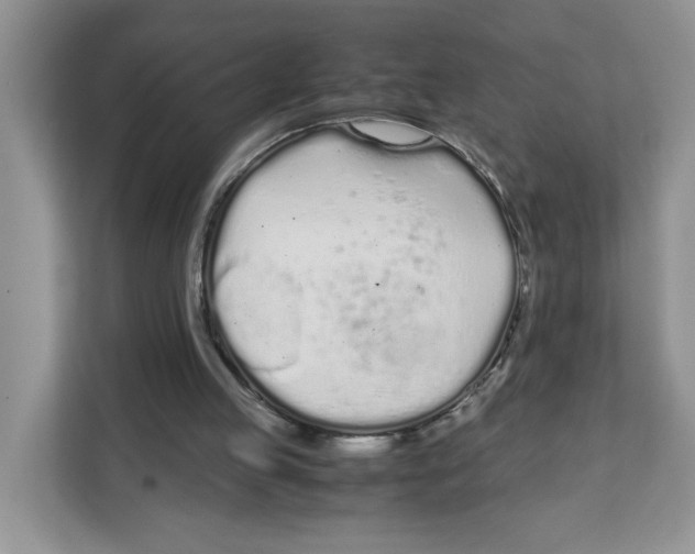 X0000108480053200905011210