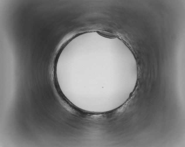 X0000108480054200905011210