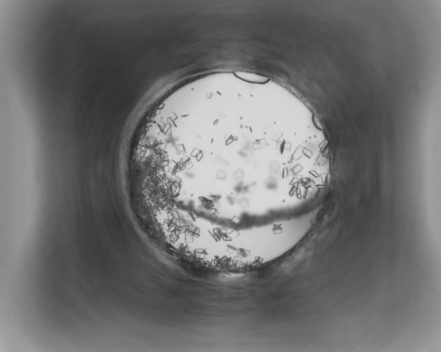 X0000108480055200905011210