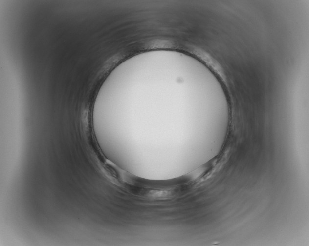 X0000108480057200905011210
